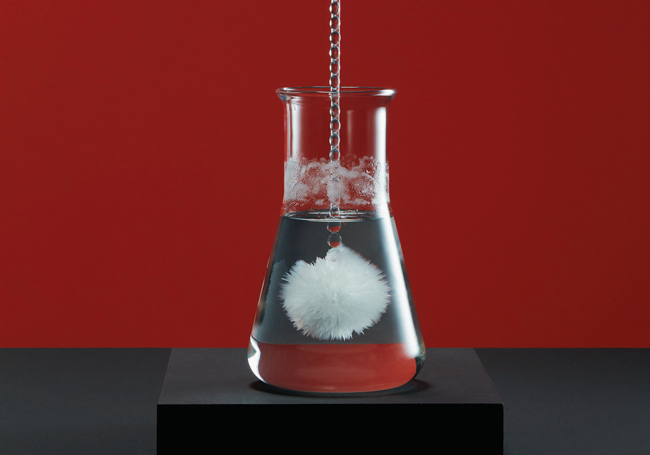 preciosa cultured specimens